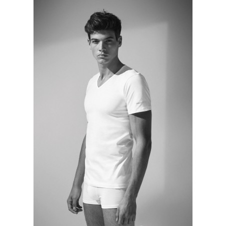 T-shirt cotone Coveri