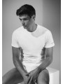 T-shirt  cotone Coveri